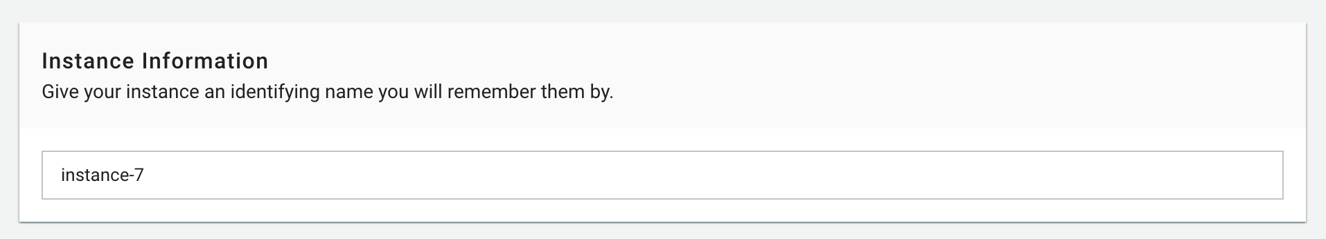 Figure needed: Instance naming interface with text input field and naming guidelines