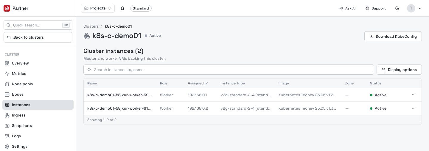 Cluster instances