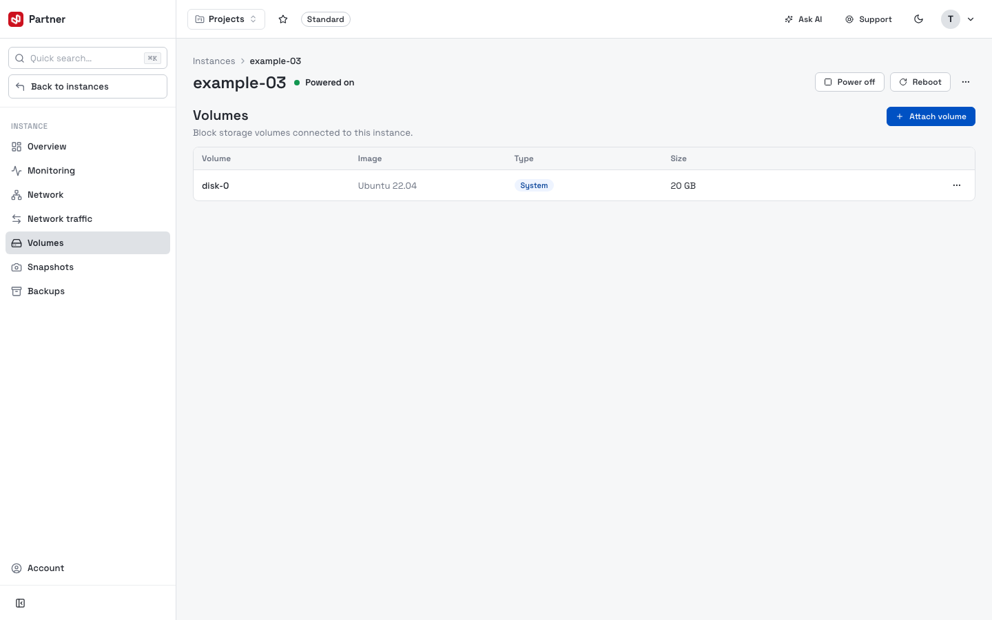 Instance volumes