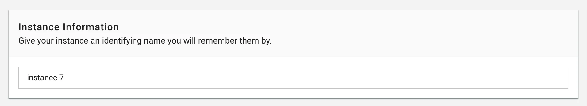 Figure needed: Instance naming interface with text input field and naming guidelines